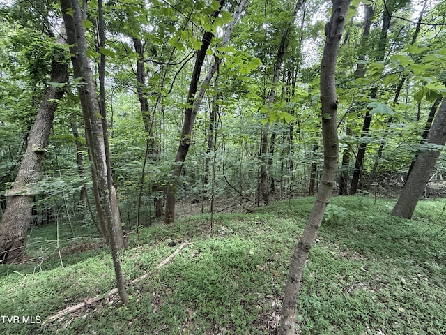 1808 Island Rd, Blountville, TN 37617 - photo 9