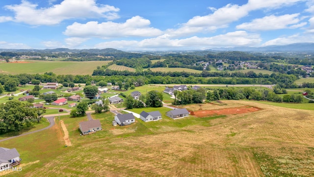 1930 Erwin Hwy, Greeneville, TN 37745 - view of rural area with a mountainous background