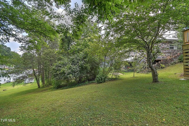 165 Hughes St, Bristol, VA 24201 - view of green lawn