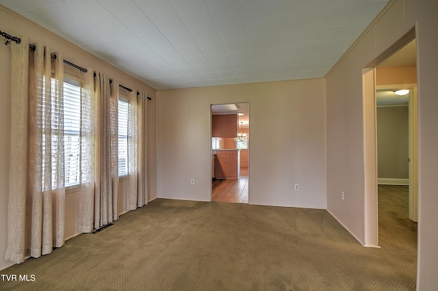 1241 Carolina Ave, Bristol, TN 37620 - spare room with carpet flooring