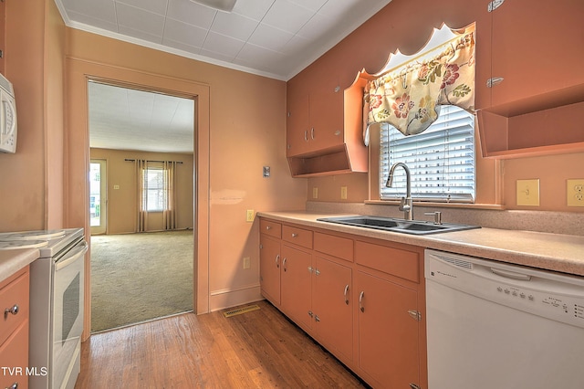 1241 Carolina Ave, Bristol, TN 37620 - kitchen featuring white dishwasher, open shelves, electric range oven, a sink, and ornamental molding