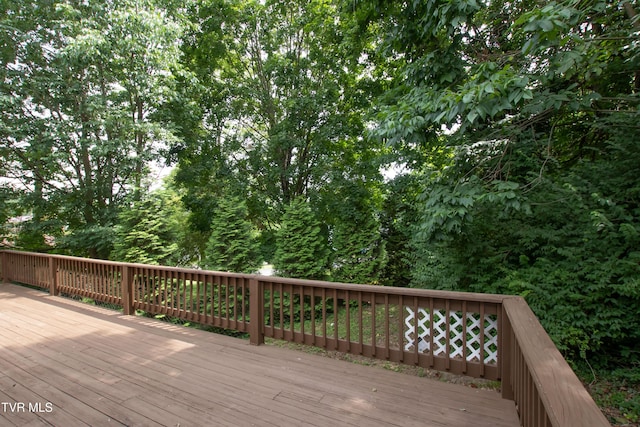 322 Spruce St, Bristol, TN 37620 - photo 94