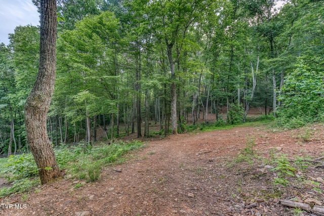 191 Bear Ridge Dr, Butler, TN 37640 - photo 70
