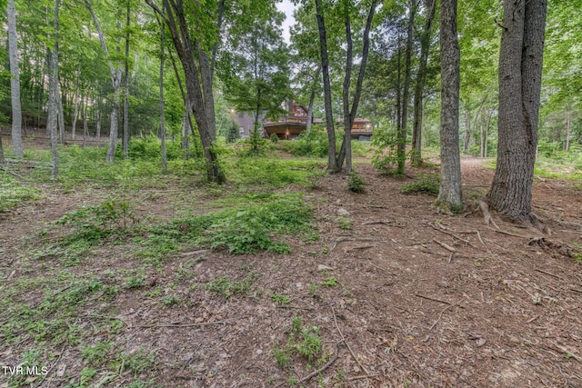 191 Bear Ridge Dr, Butler, TN 37640 - photo 71