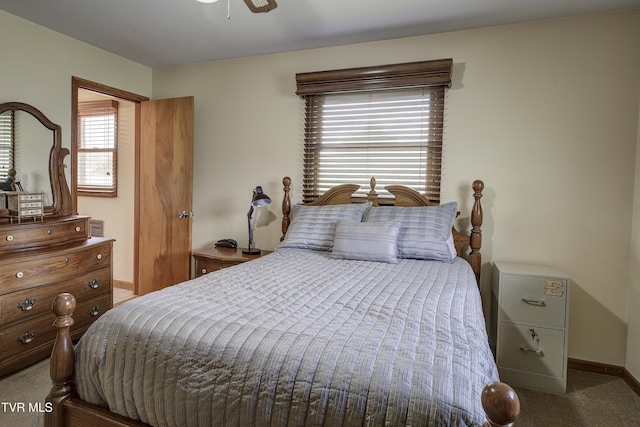 296 Redstone Dr, Bluff City, TN 37618 - bedroom with carpet floors and baseboards