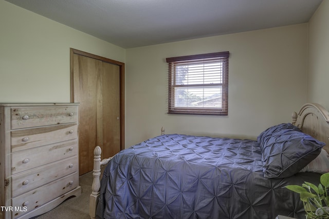 296 Redstone Dr, Bluff City, TN 37618 - carpeted bedroom featuring a closet