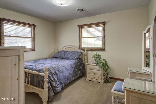 296 Redstone Dr, Bluff City, TN 37618 - bedroom featuring carpet flooring, multiple windows, and baseboards