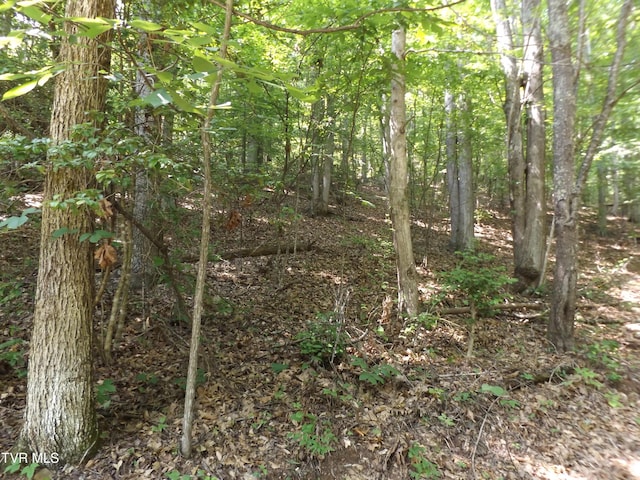 229 Rome Hollow Rd, Elizabethton, TN 37643