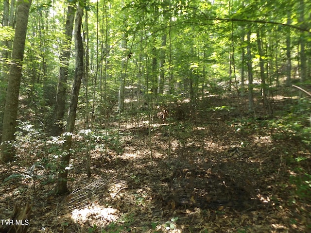 229 Rome Hollow Rd, Elizabethton, TN 37643