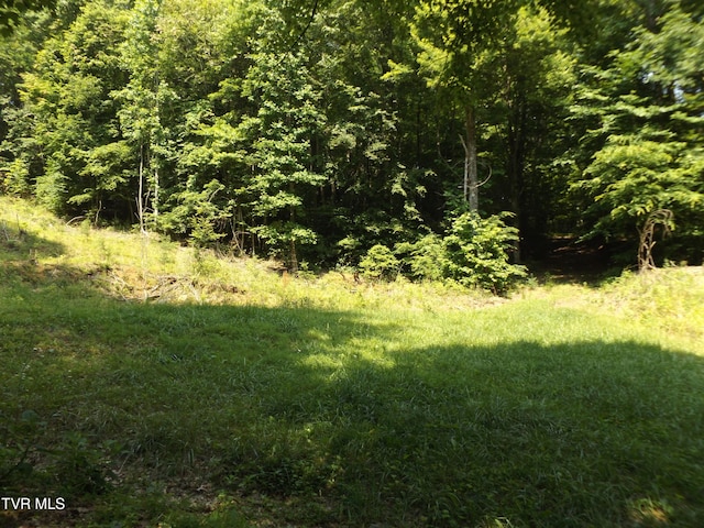 229 Rome Hollow Rd, Elizabethton, TN 37643