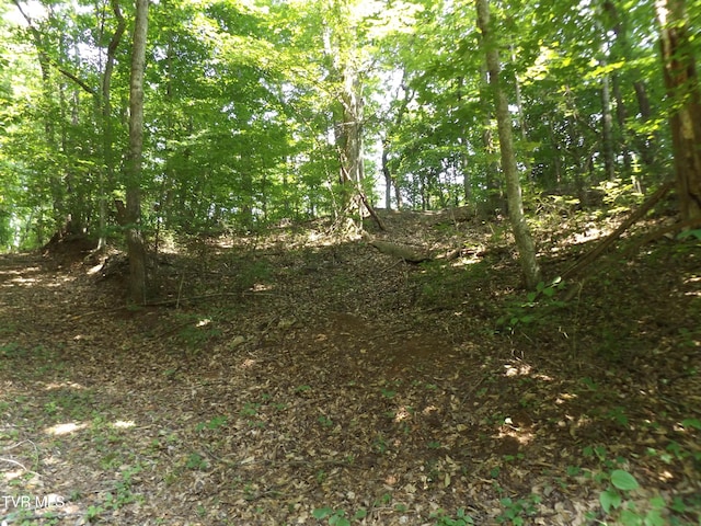 229 Rome Hollow Rd, Elizabethton, TN 37643