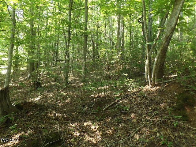 229 Rome Hollow Rd, Elizabethton, TN 37643