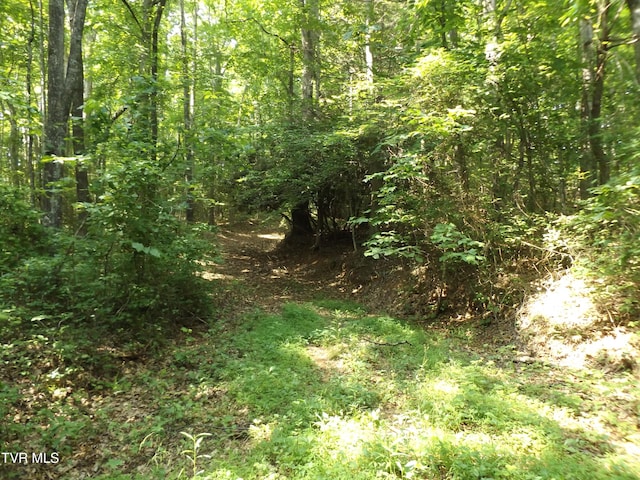 229 Rome Hollow Rd, Elizabethton, TN 37643