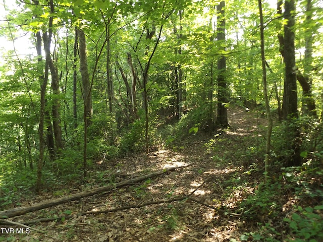 229 Rome Hollow Rd, Elizabethton, TN 37643