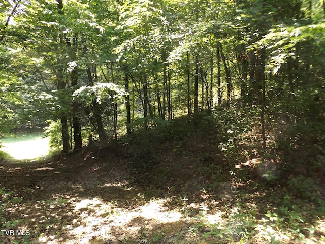 229 Rome Hollow Rd, Elizabethton, TN 37643