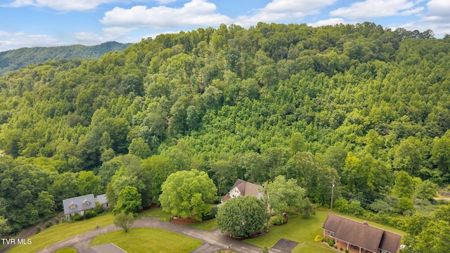266 Mark St, Gate City, VA 24251 - photo 84