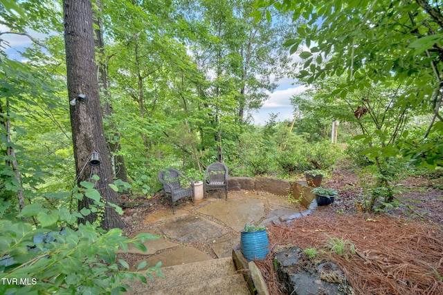 266 Mark St, Gate City, VA 24251 - photo 73