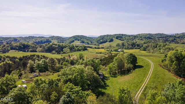 2269 Valleydale Rd, Mosheim, TN 37818 - photo 30