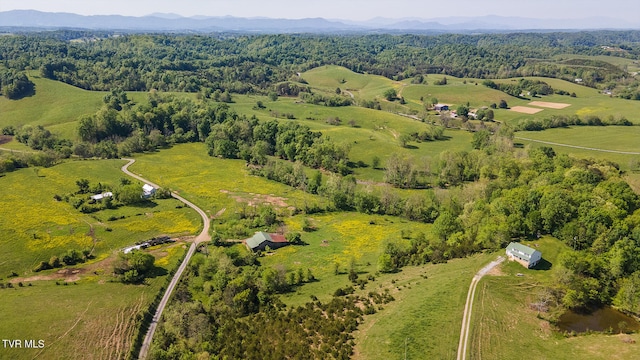 2269 Valleydale Rd, Mosheim, TN 37818 - photo 37