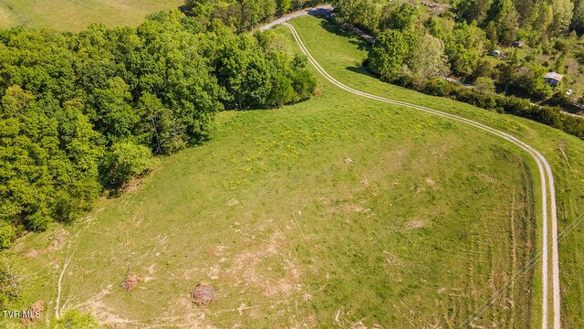 2269 Valleydale Rd, Mosheim, TN 37818 - photo 44