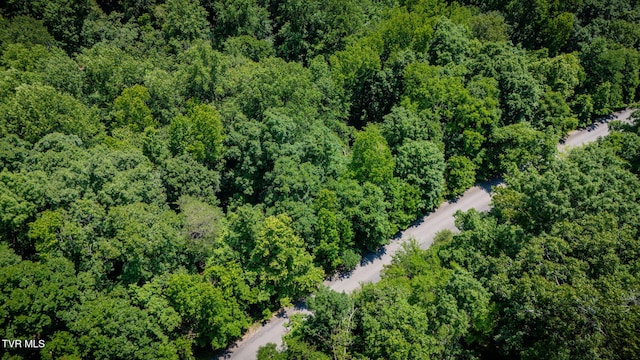 LOT4 Walnut Bend Dr, Whitesburg, TN 37891