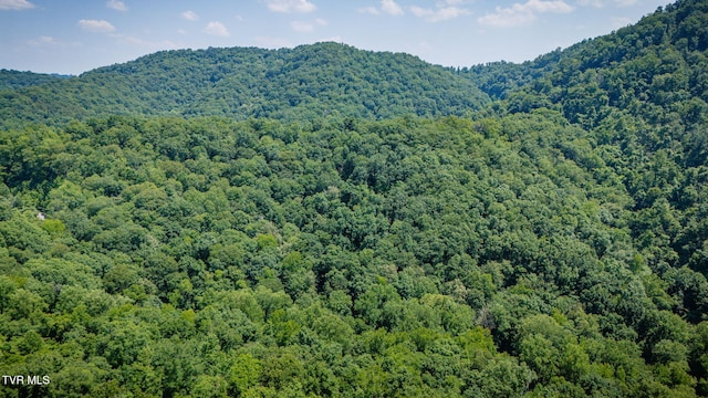 LOT4 Walnut Bend Dr, Whitesburg, TN 37891