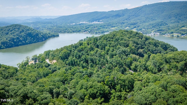 LOT4 Walnut Bend Dr, Whitesburg, TN 37891