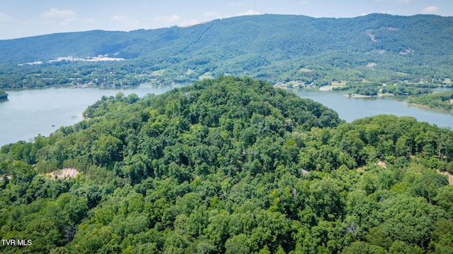LOT4 Walnut Bend Dr, Whitesburg, TN 37891