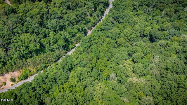 LOT4 Walnut Bend Dr, Whitesburg, TN 37891