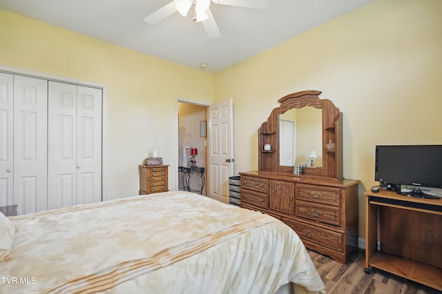 17308 Crabtree Ct, Bristol, VA 24202 - bedroom with a closet, wood finished floors, and ceiling fan