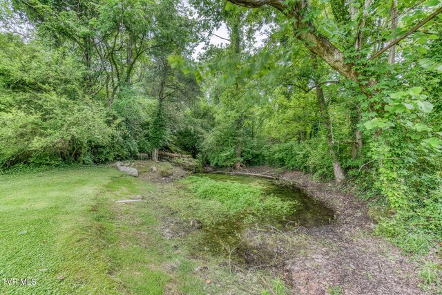 2142 Dave Buck Rd, Johnson City, TN 37601 - photo 44