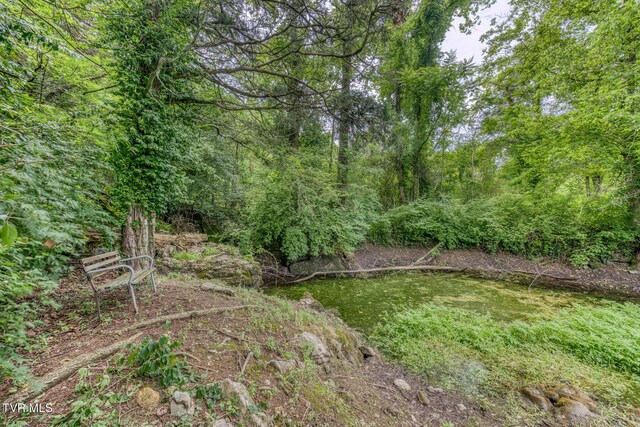 2142 Dave Buck Rd, Johnson City, TN 37601 - photo 45