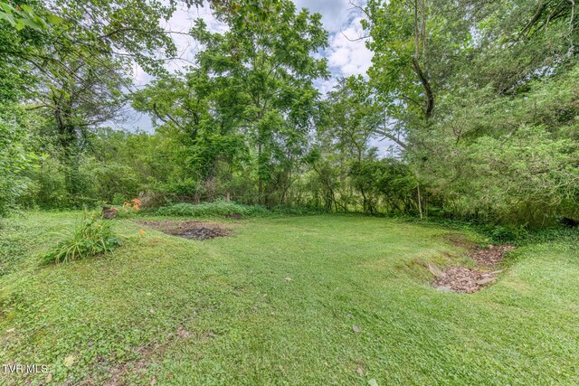 2142 Dave Buck Rd, Johnson City, TN 37601 - photo 46