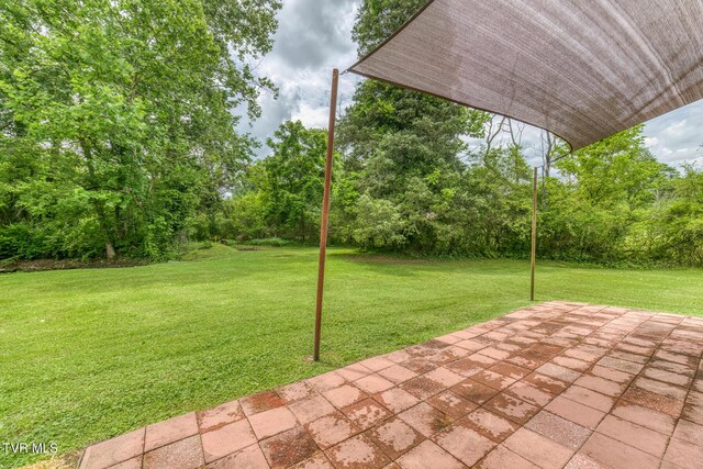 2142 Dave Buck Rd, Johnson City, TN 37601 - photo 35
