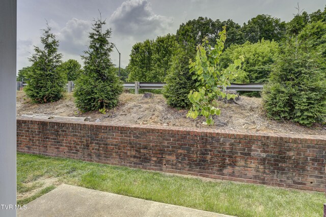 1905 Knob Creek Rd Unit 11, Johnson City, TN 37604 - view of yard