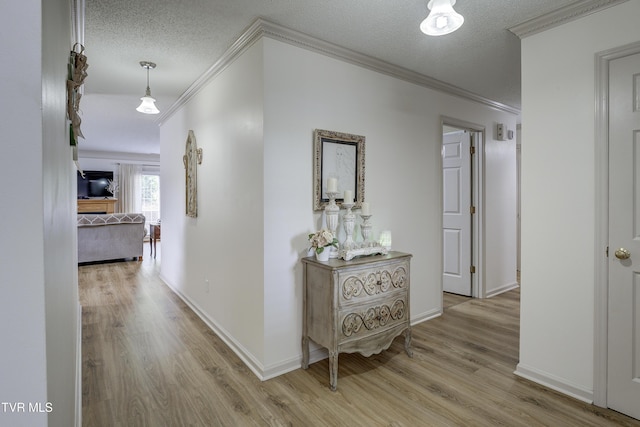 1905 Knob Creek Rd Unit 11, Johnson City, TN 37604 - hallway with crown molding, light wood-style flooring, and a textured ceiling