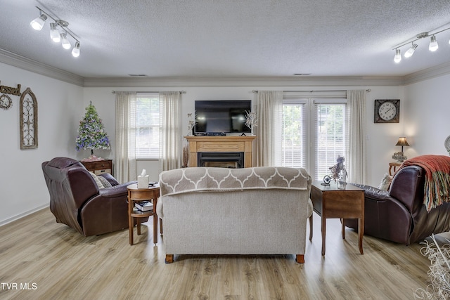 1905 Knob Creek Rd Unit 11, Johnson City, TN 37604 - living area with rail lighting, a textured ceiling, healthy amount of natural light, a fireplace, and crown molding