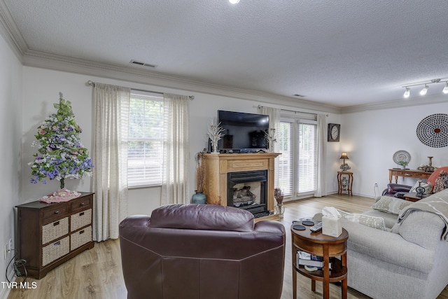 1905 Knob Creek Rd Unit 11, Johnson City, TN 37604 - living area featuring a textured ceiling, light wood finished floors, a fireplace, and crown molding