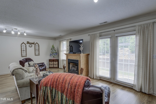 1905 Knob Creek Rd Unit 11, Johnson City, TN 37604 - living area featuring a textured ceiling, a fireplace, ornamental molding, and light wood-style flooring