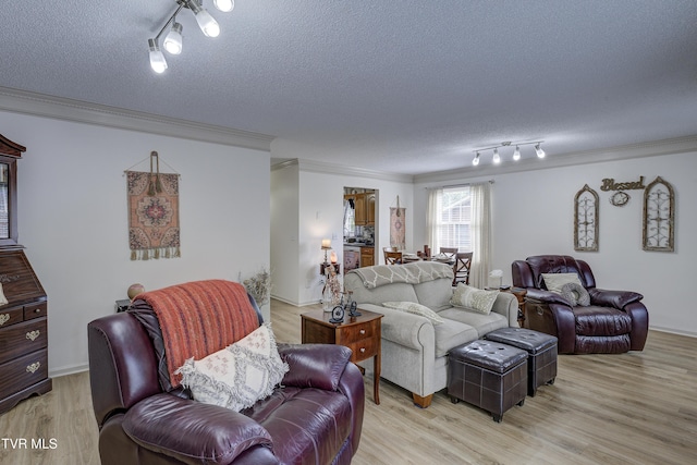 1905 Knob Creek Rd Unit 11, Johnson City, TN 37604 - living room featuring rail lighting, crown molding, a textured ceiling, and light wood-style flooring