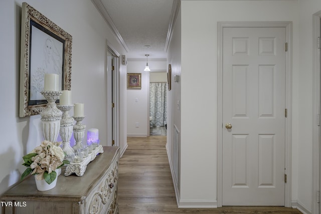1905 Knob Creek Rd Unit 11, Johnson City, TN 37604 - hallway with ornamental molding, wood finished floors, and a textured ceiling