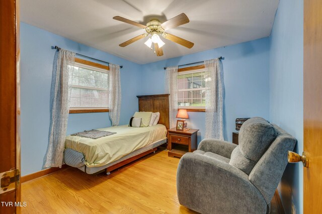 228 Birch St, Mount Carmel, TN 37645 - photo 13
