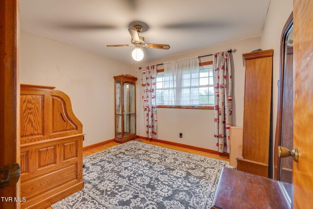 228 Birch St, Mount Carmel, TN 37645 - photo 15