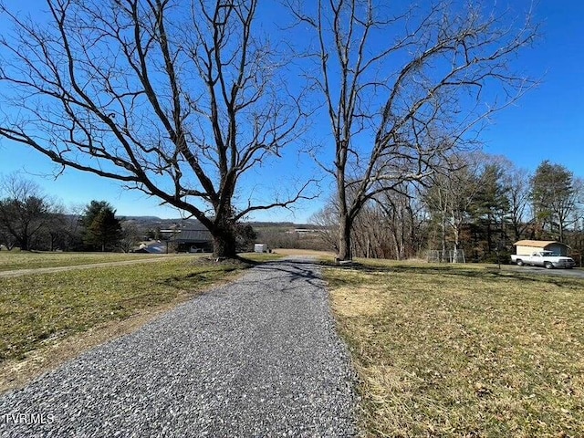 153 Bart Green Dr, Johnson City, TN 37615 - photo 1