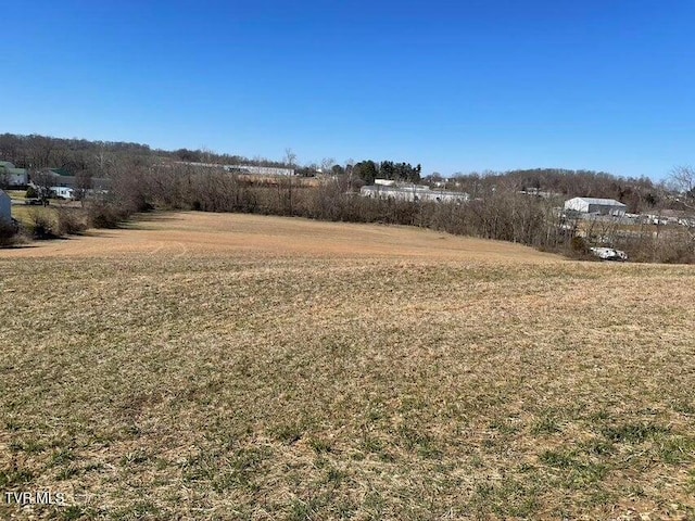153 Bart Green Dr, Johnson City, TN 37615 - photo 5