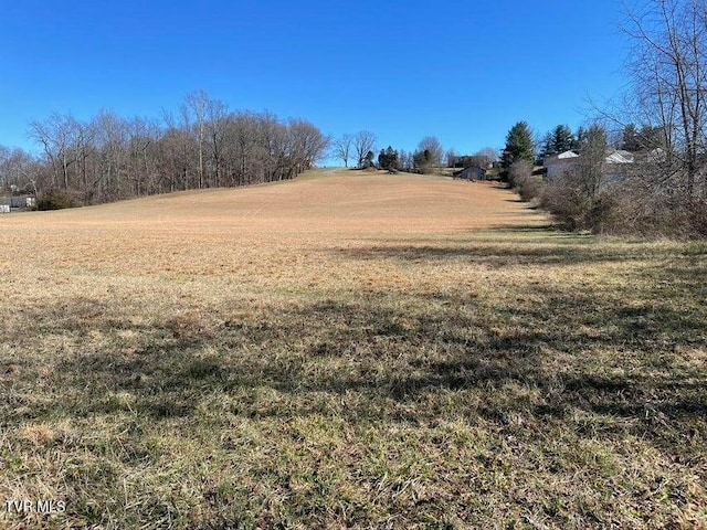 153 Bart Green Dr, Johnson City, TN 37615 - photo 6