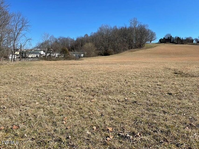 153 Bart Green Dr, Johnson City, TN 37615 - photo 7
