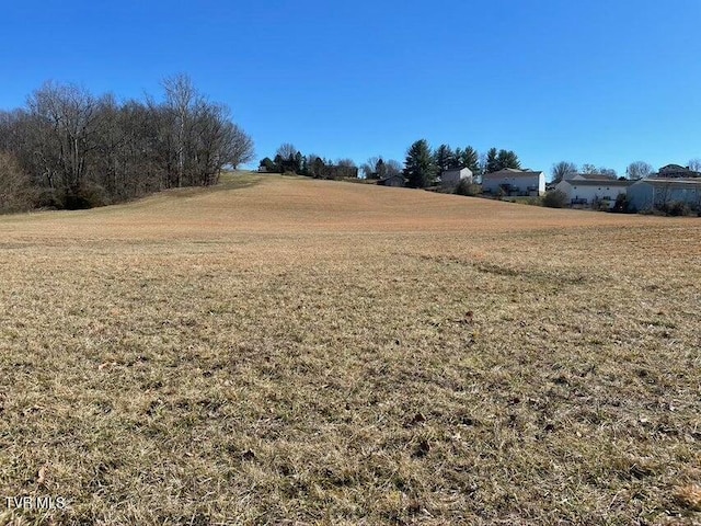 153 Bart Green Dr, Johnson City, TN 37615 - photo 9