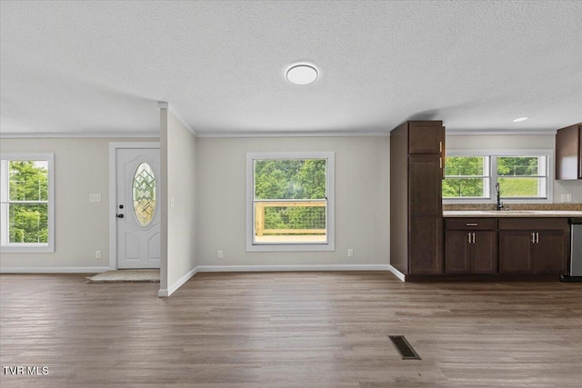 14450 Rattle Creek Rd, Abingdon, VA 24210 - entrance foyer with crown molding, wood finished floors, baseboards, plenty of natural light, and a textured ceiling