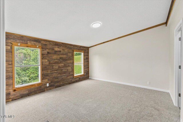 14450 Rattle Creek Rd, Abingdon, VA 24210 - unfurnished room featuring wood walls, crown molding, carpet floors, baseboards, and a textured ceiling